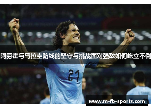 阿劳霍与乌拉圭防线的坚守与挑战面对强敌如何屹立不倒