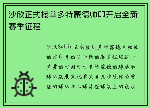 沙欣正式接掌多特蒙德帅印开启全新赛季征程