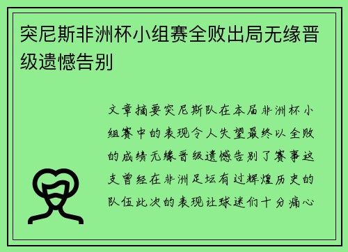 突尼斯非洲杯小组赛全败出局无缘晋级遗憾告别